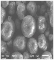 星空官方網頁版